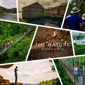 Nature Experience Tour – Journey Package