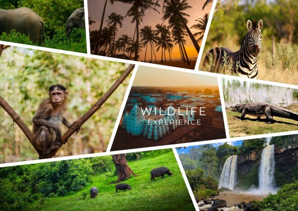 Cultural Experience Tour - Journey Package